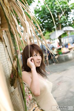 东北往事之黑道风云20年未删节电视剧